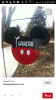 Screenshot_2016-01-31-16-33-04.png