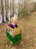 Finished Float Other 4.jpg