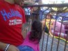 IMG-20120611-00113.jpg