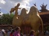 IMG-20120611-00119.jpg