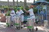 8-11-2015 - 8-19-2015 DISNEY 249.JPG
