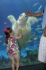 8-11-2015 - 8-19-2015 DISNEY 262.JPG