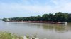 20150711_095131a.jpg