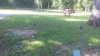 20150713_090021a.jpg