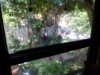 DSCN3994a.jpg