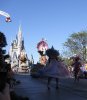 IMG_0480.jpg