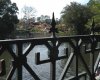 IMGP0490.JPG