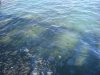 DSC08099.JPG