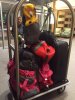 luggage.jpg