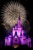the_big_bang_at_wishes__magic_kingdom__walt_disney_world.jpg