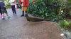 bird.jpg