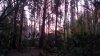 hrsp sunrise.jpg