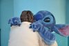 Disney 2012 Feb Photopass 36.jpg