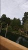 0217161203_resized.jpg
