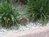 IMG_5056.JPG