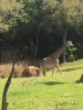 IMG_1529.jpg