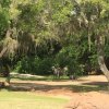 IMG_1594.jpg