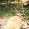 IMG_1600.jpg