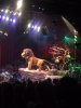 IMG_1621.jpg