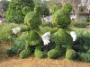 IMG_0577.JPG