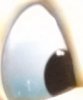 crop 16.jpg
