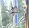 crop 17.jpg