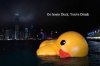 upload_2016-2-25_11-52-40.jpeg