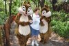 May 2013 Photopass 50.jpg