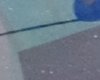 crop17.jpg