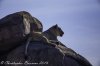 _MG_6921.jpg