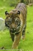 _MG_7219.jpg