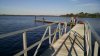 lk manatee sp Feb 2016 015.jpg