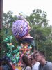 IMG_6253.JPG