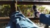 20160225_093658 (800x450).jpg