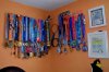 DSC_0064-001.JPG