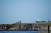 DSC_0626.JPG