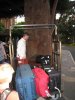 20160221_Aulani Hawaii_05400.JPG 20160221_Aulani Hawaii_05400.JPG