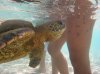 20160227_Aulani Hawaii_05767.JPG