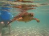 20160227_Aulani Hawaii_05783.JPG