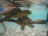 20160227_Aulani Hawaii_05811.JPG