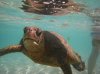 20160227_Aulani Hawaii_05820.JPG