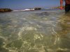 20160227_Aulani Hawaii_05941.JPG