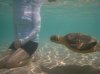 20160227_Aulani Hawaii_05974.JPG