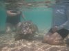 20160227_Aulani Hawaii_05982.JPG