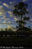 _MG_9944.jpg