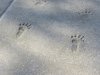 IMG_0876.JPG