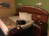 img_5546.jpg