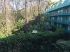 img_5562.jpg