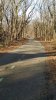 Path2.jpg