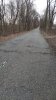 Path6.jpg